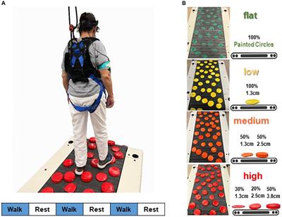 Prefrontal cortical activity during uneven terrain walking in younger and older adults